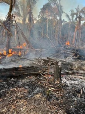 No último sábado (12), o Ministério Público do Estado do Amazonas (MPAM) realizou, em parceria com a Polícia Militar e a Secretaria Municipal do Meio Ambiente (Semades), uma ronda ambiental conjunta no município de Manicoré. A ação foi coordenada pelo promotor de Justiça Venâncio Antônio Castilhos de Freitas Terra, titular da comarca.