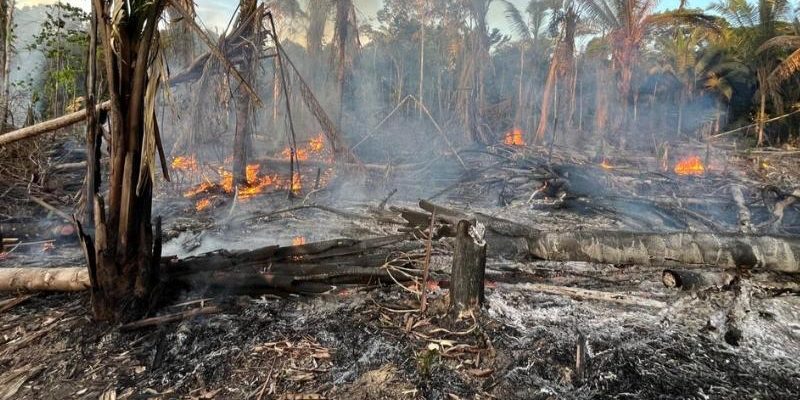 No último sábado (12), o Ministério Público do Estado do Amazonas (MPAM) realizou, em parceria com a Polícia Militar e a Secretaria Municipal do Meio Ambiente (Semades), uma ronda ambiental conjunta no município de Manicoré. A ação foi coordenada pelo promotor de Justiça Venâncio Antônio Castilhos de Freitas Terra, titular da comarca.